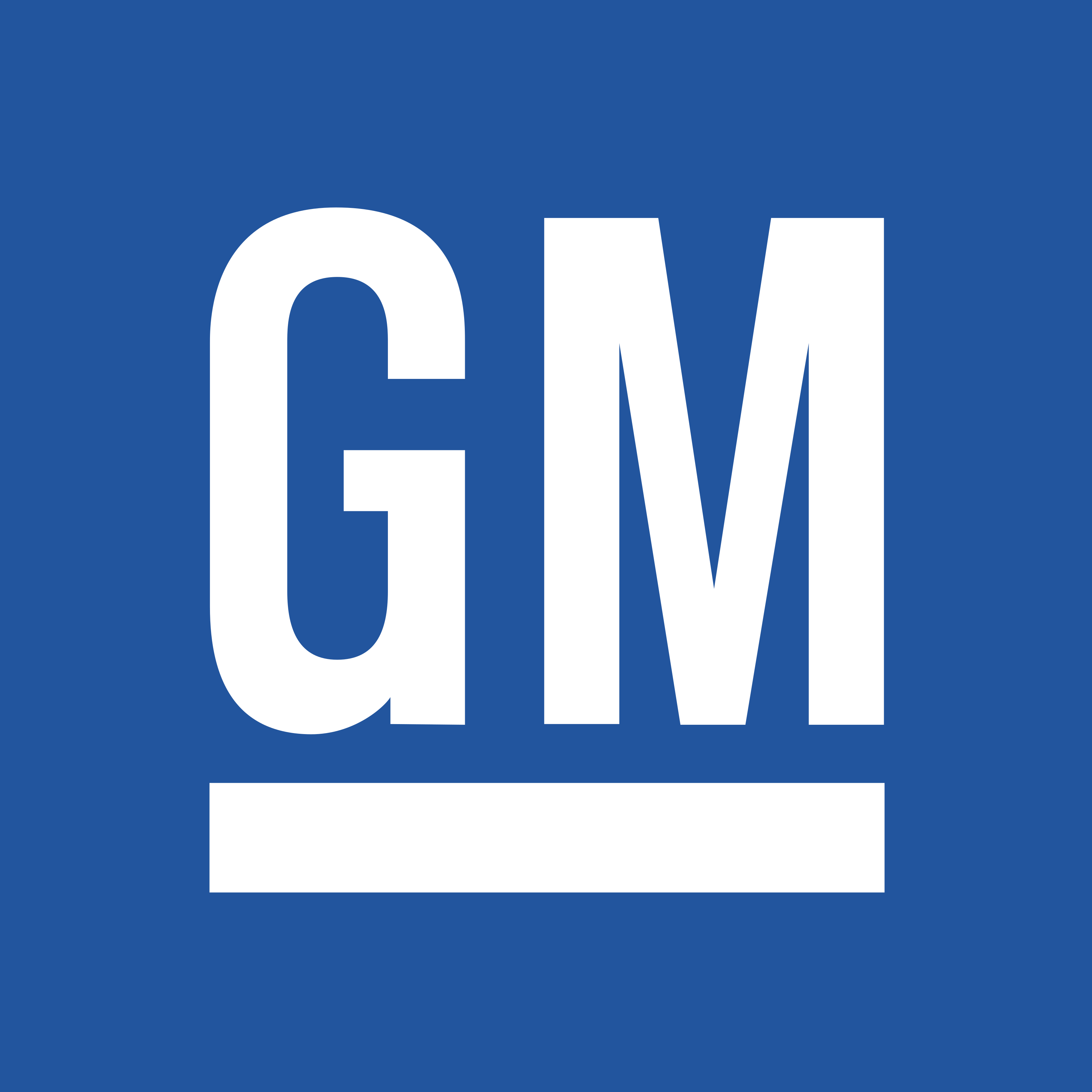 GM Logo